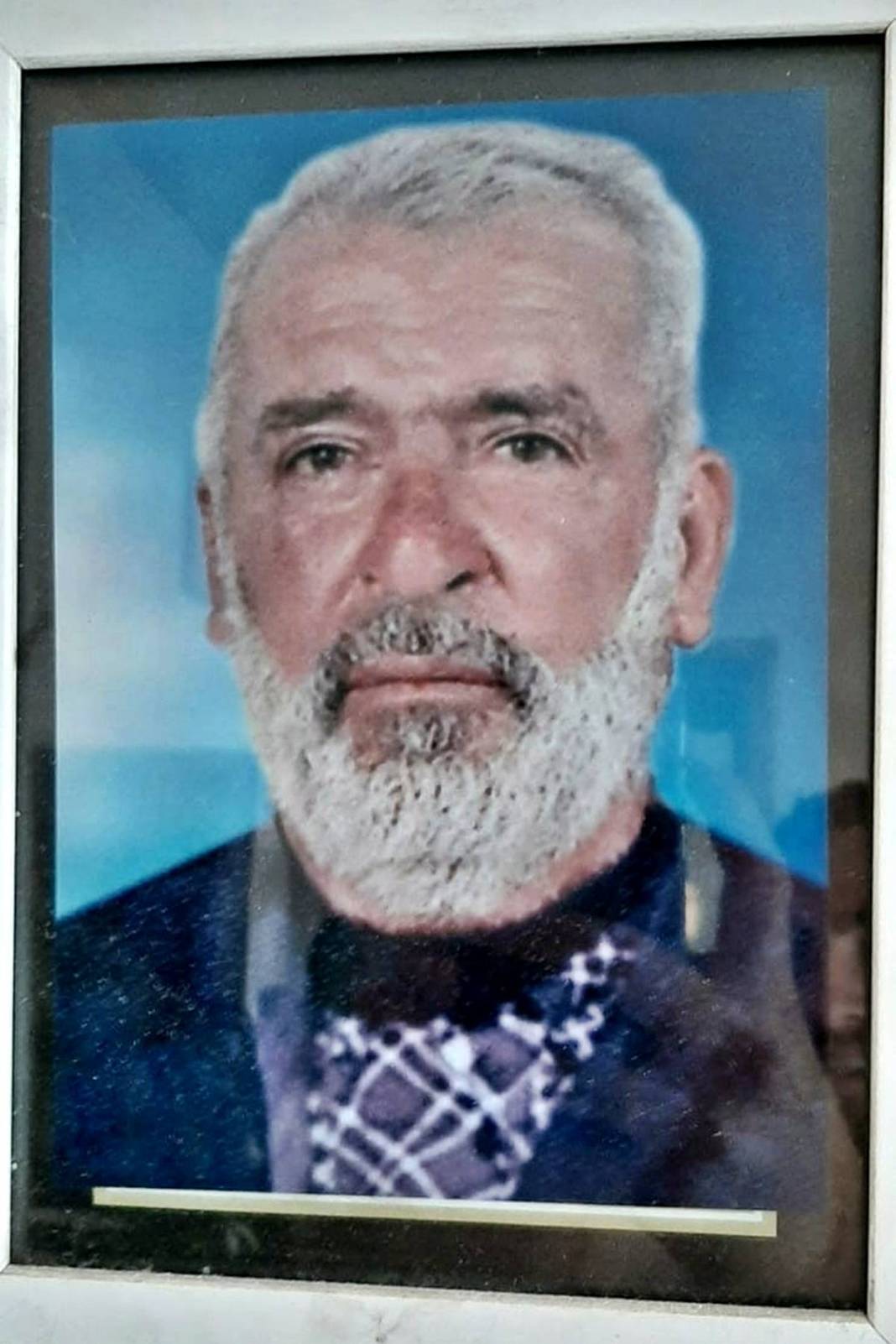 Arabasını satıp 5 bin sedir fidanı dikti: Şimdi ormana dönüştü! 3